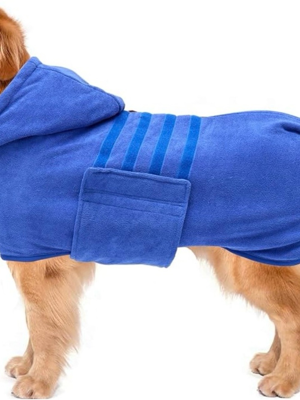 Blue Dog Hoodie Coat with Pocket - Brand: